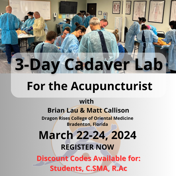 Cadaver Lab for the Acupuncturist