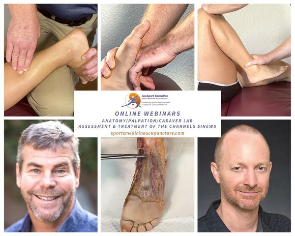 AcuSport Education Online Webinars