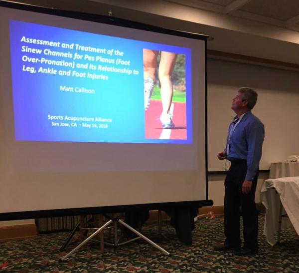 Matt presenting at Sports Acupuncture Alliance