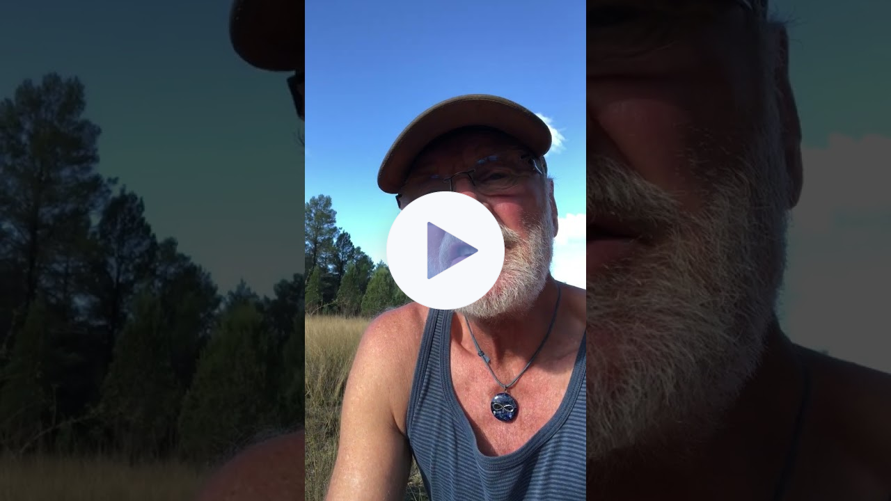 Ökosystem! Wie verhalten, wenn erhalten?IMG 0962