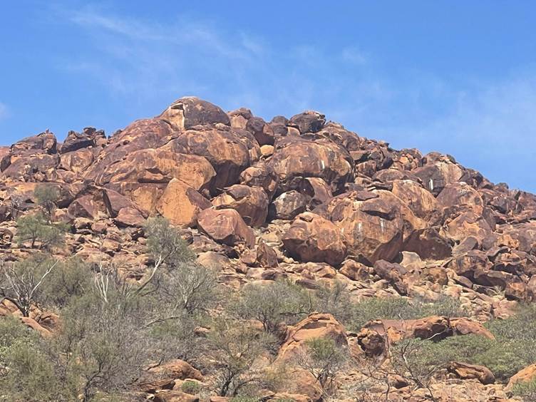 A large rocky mountain with bushes
AI-generated content may be incorrect.