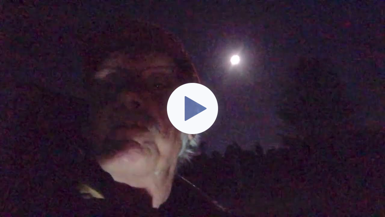 Gesetzmäßigkeit der menschlichen Existenz