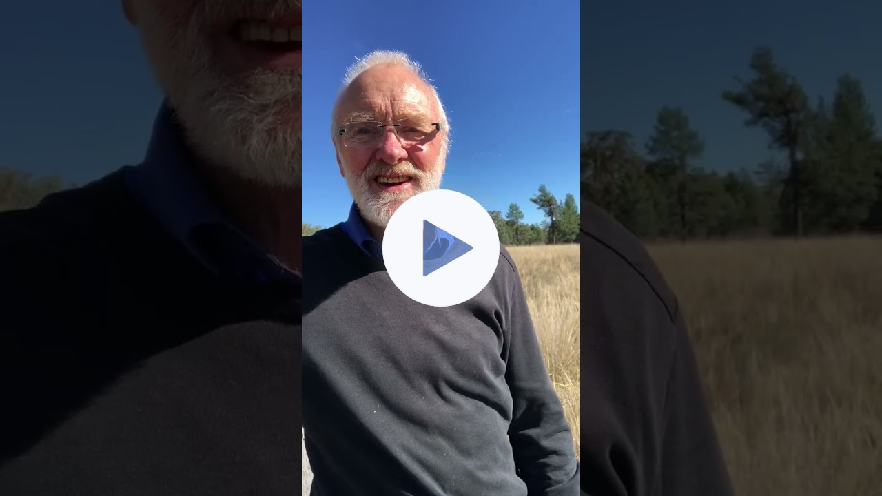 In welchem Zusammenhang Dankbarkeit mit unseren Lebenszielen steht.