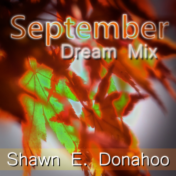 http://shawnedonahoo.bandcamp.com/track/september-dream-mix