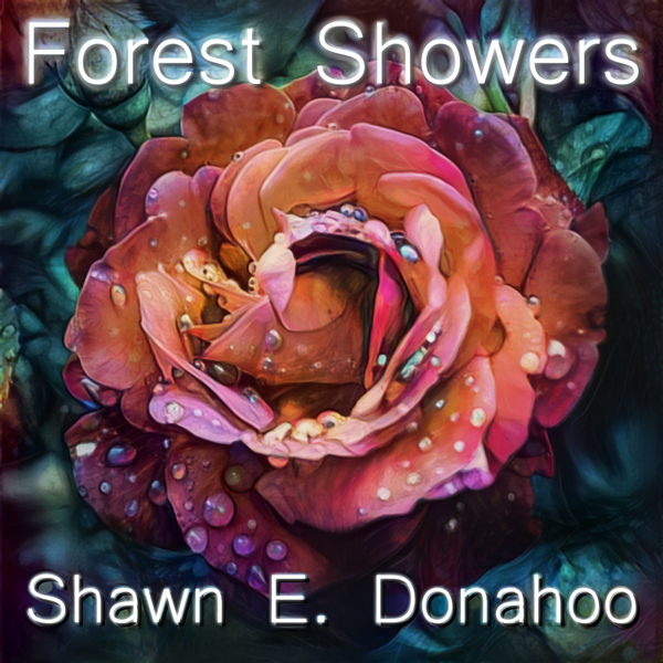 Forest Showers