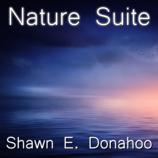 http://shawnedonahoo.bandcamp.com/album/nature-suite-for-piano