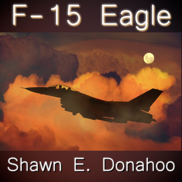 https://shawnedonahoo.bandcamp.com/track/f-15-eagle