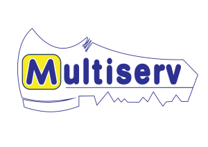 Multiserv