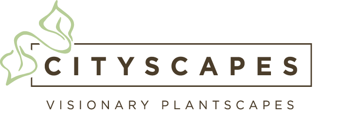 CITYSCAPES - Visionary Plantscapes