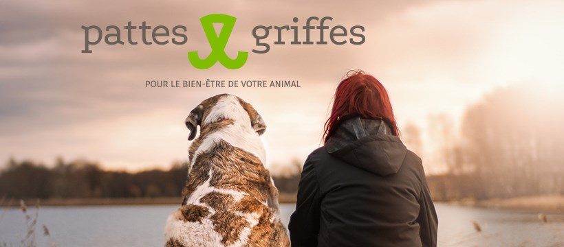 Pattes et Griffes