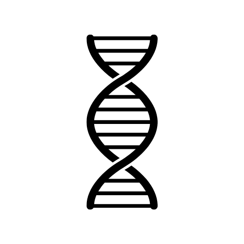 E4 Method - Week 2 - Essence