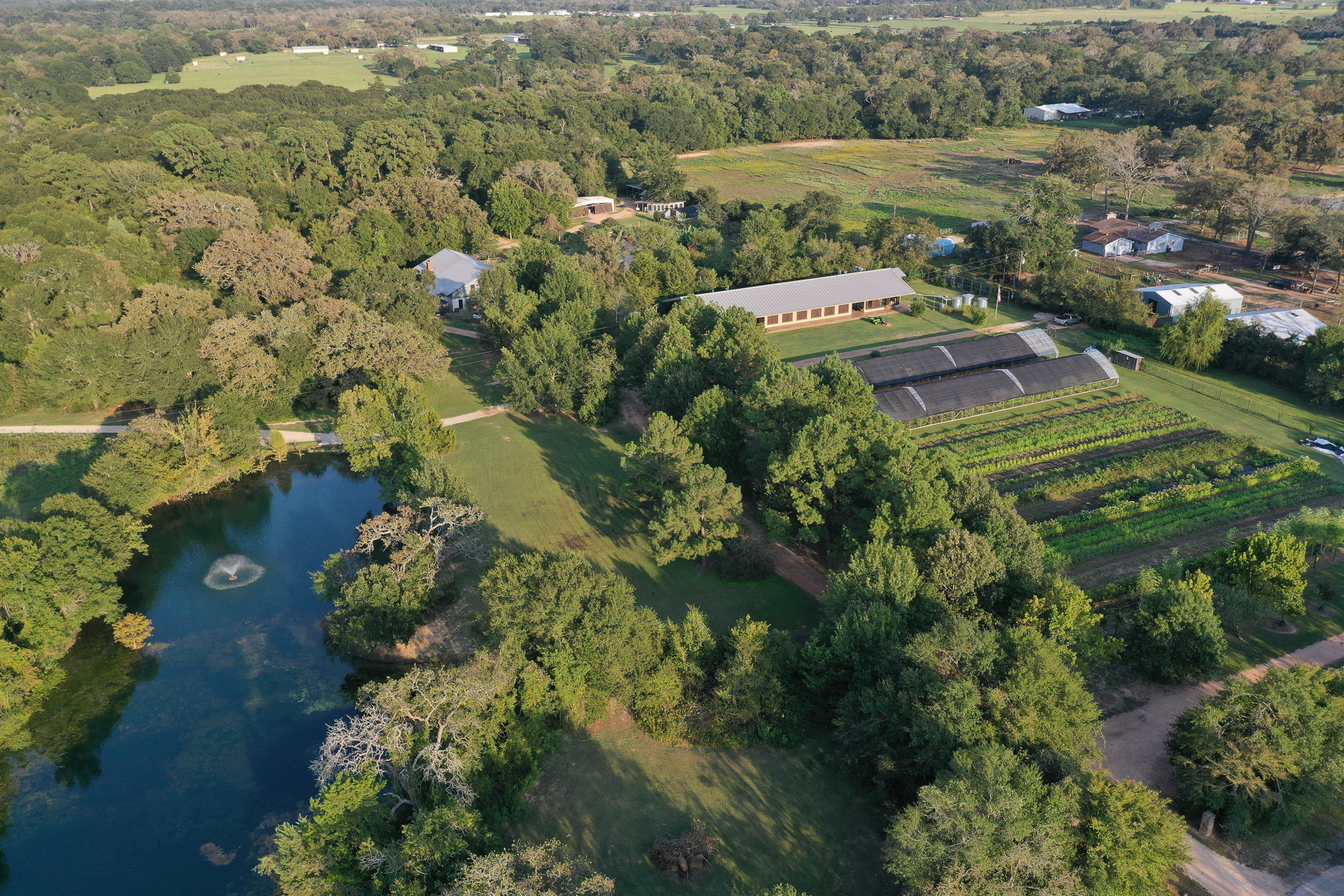 Aerial view of Blackwood Farm: pond, oak trees, and garden rows