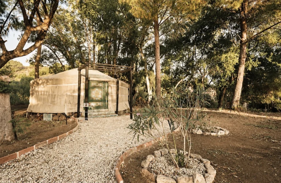 The yurt among the trees