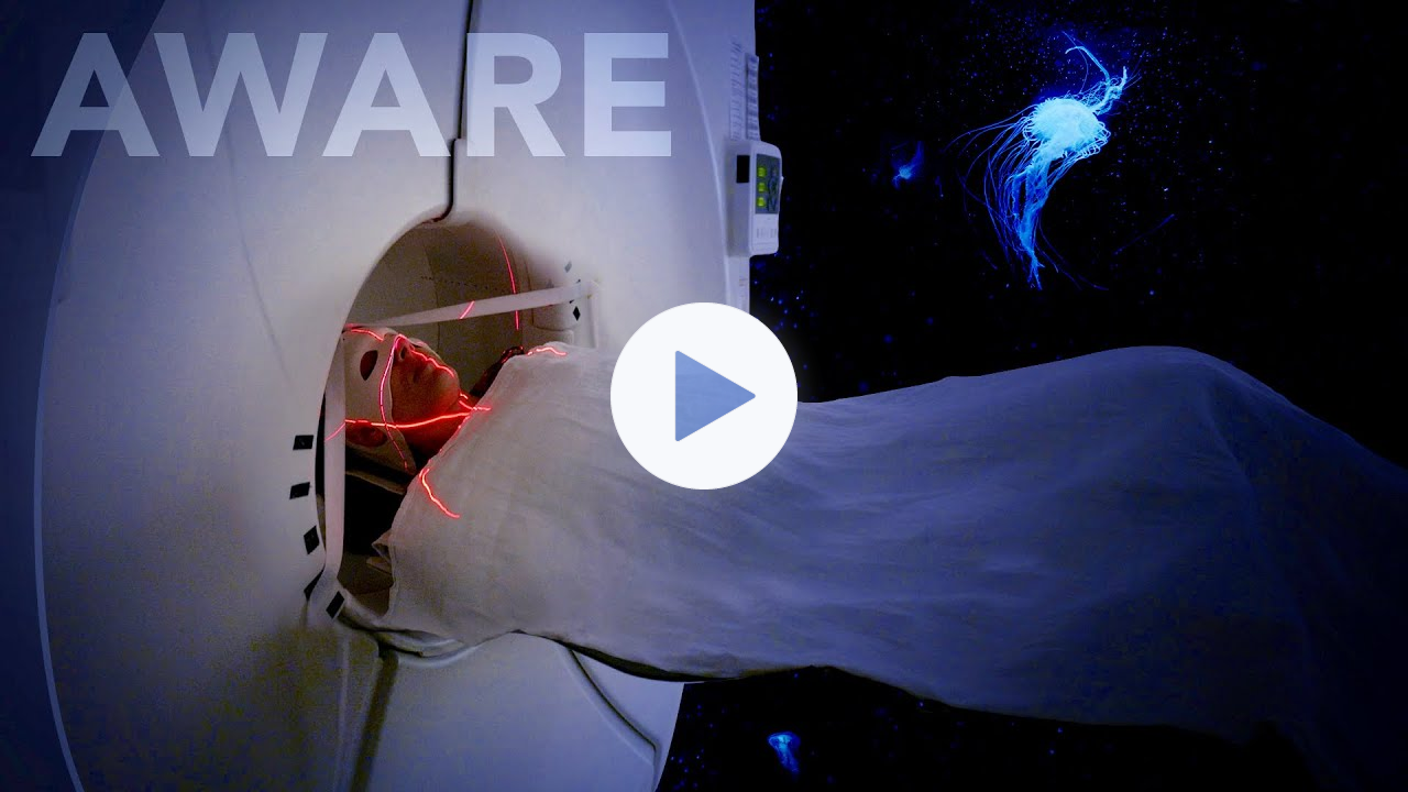 Aware: Glimpses of Consciousness - Official Theatrical Trailer
