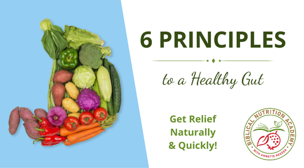 6 Principles to a Healthy Gut