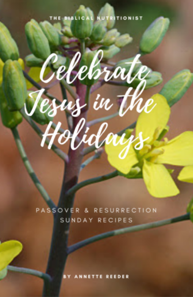 Celebrate Jesus in the Holidays