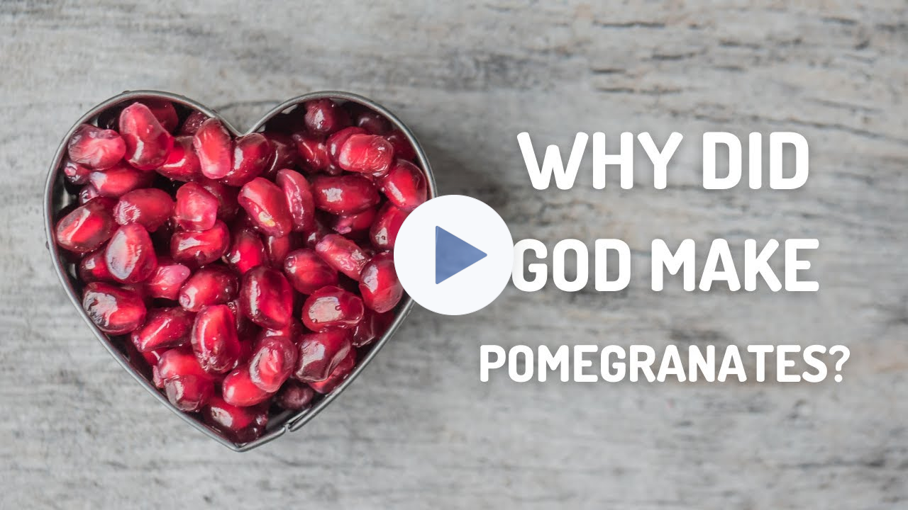 Don't Miss Out! The Many Health Benefits Of Pomegranates