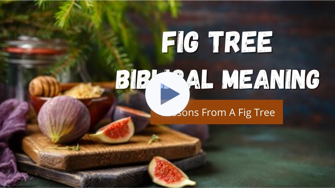 Figs in the Bible: 9 Meanings Explained | From Shame (Genesis) to Blessings (Revelation)!