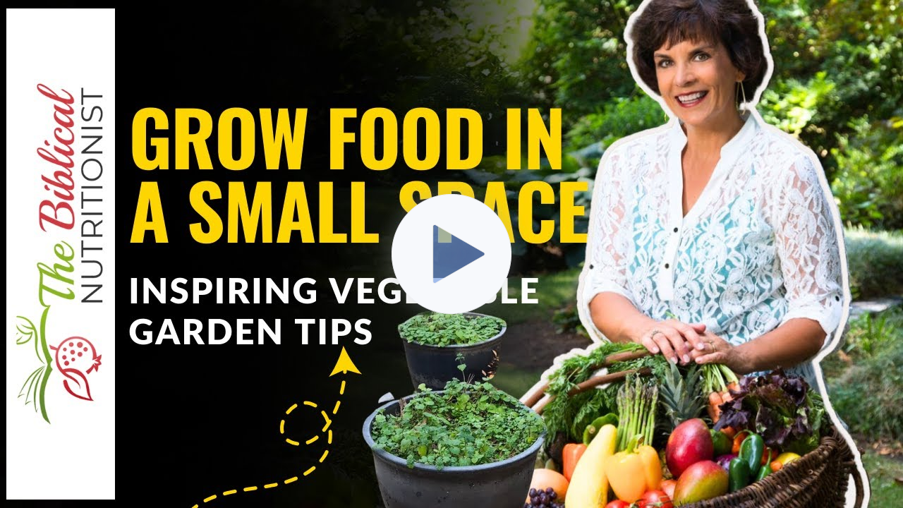 Growing TONS of Food In A Small Garden | How To Grow Your Own Food, Save Money