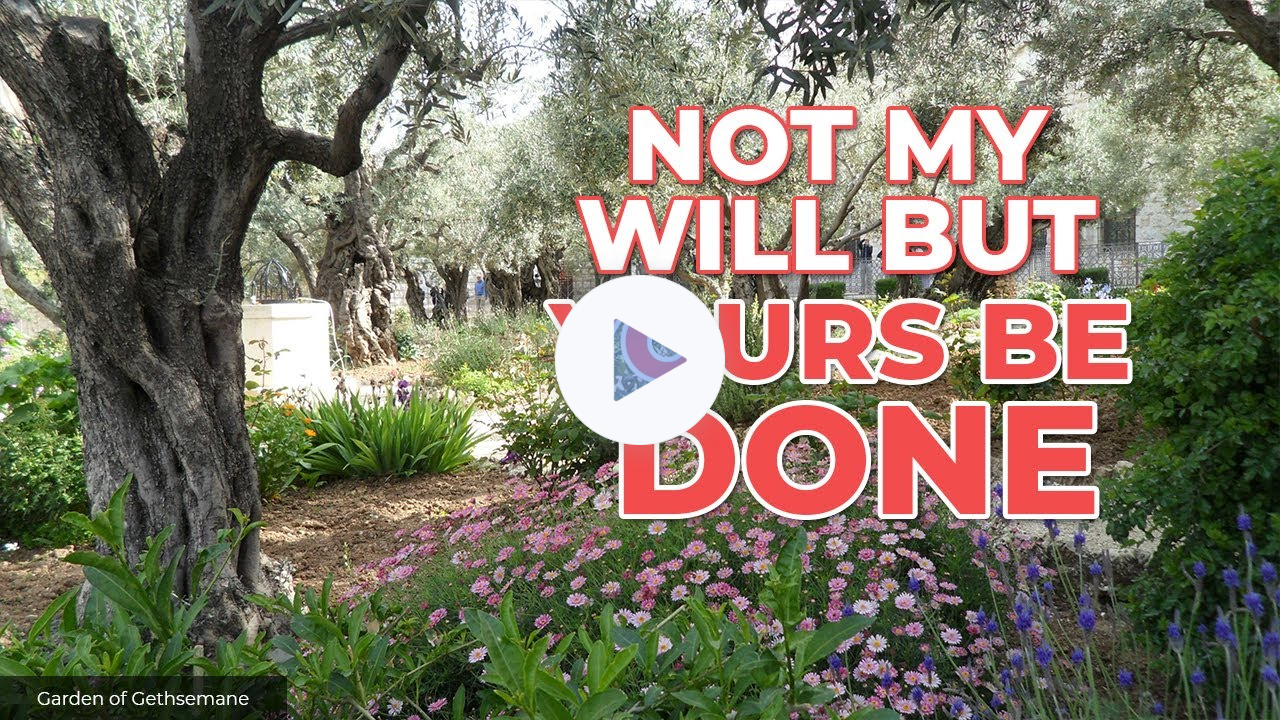 From Spiritual Pain and Suffering to Life in the Garden of Gethsemane