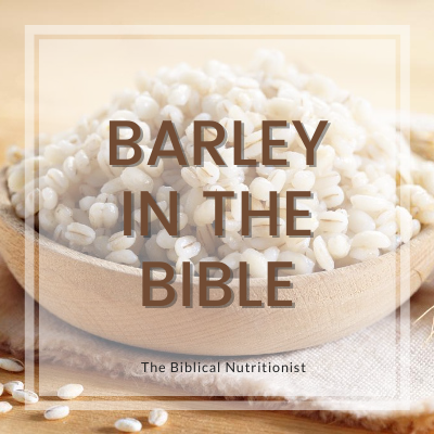 Barley in the Bible