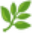 :herb: