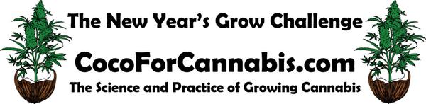 Coco for Cannabis: New Years Grow Challenge