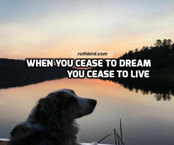 Profit With Pinterest