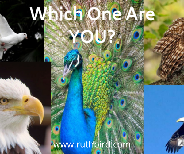 Conversations that close