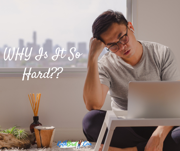 Looking For A New Or 2nd Income Stream?