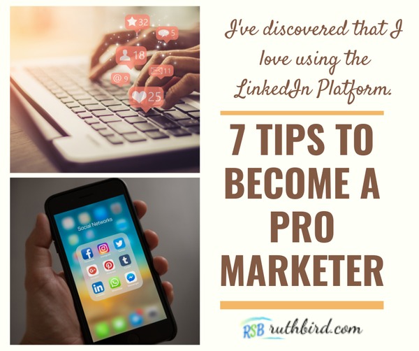 Become online marketing pro