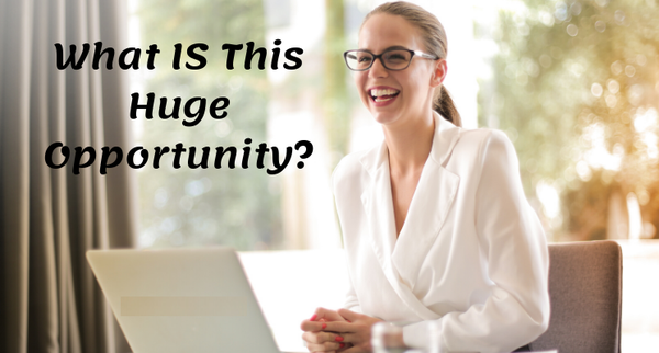 Looking For A New Or 2nd Income Stream?