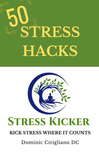 The Art of Persuasion book