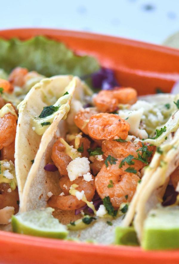 closeup of chile lime shrimp in a corn tortilla