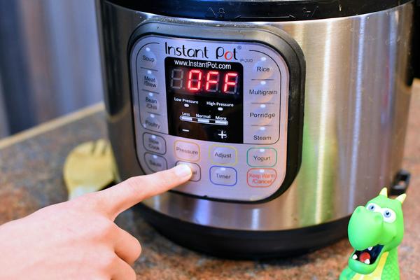 Instant Pot on counter