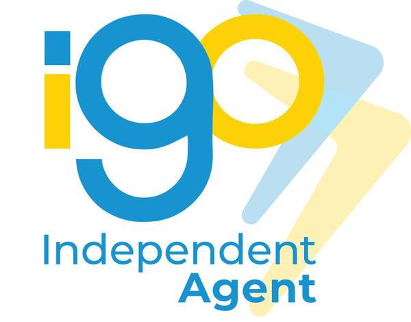 iGo Logo Image