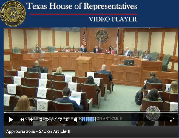 Image of the Texas House of Representatives Video Player from Appropriations S/C on Article II meeting