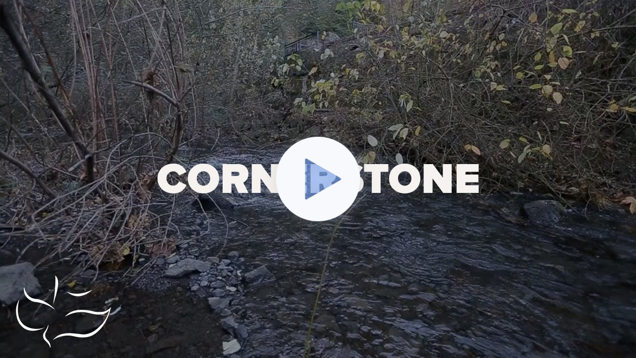 Cornerstone | Maranatha! Music (Lyric Video)