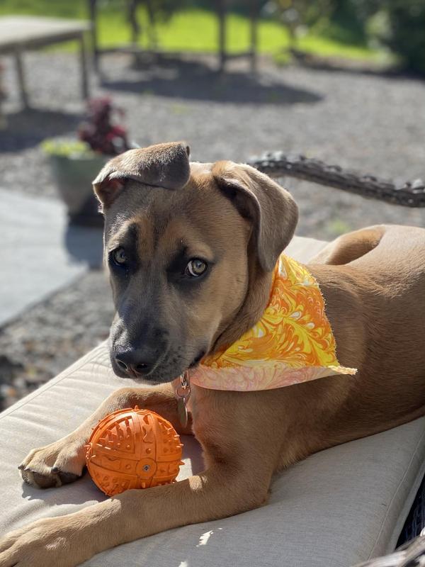 Mitchell's Medicinals