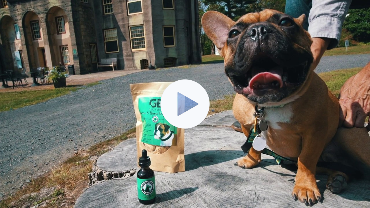 CBD what is it and how to use CBD as a topical cream