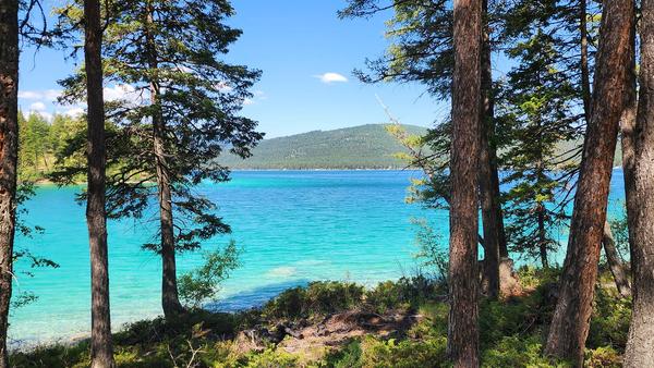 Flathead Lake - Kings Point home sale