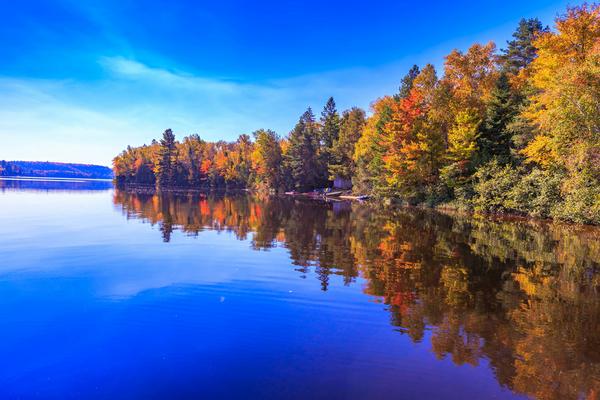 Fall in season on a Lake