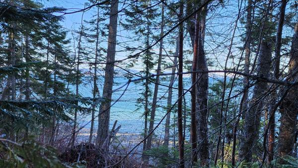 Flathead Lake's Eastshore