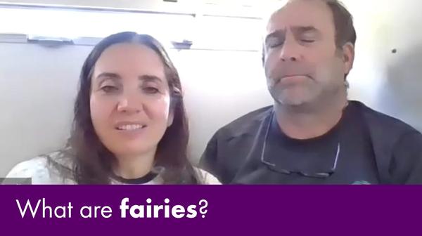 Daily Shorts - What are fairies?