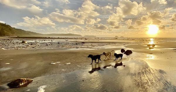 Others have started talking about The Split