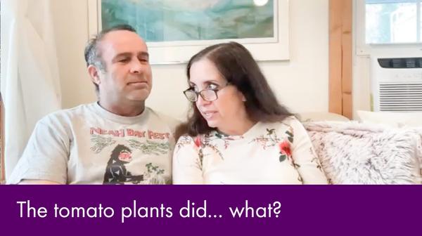 Daily Shorts - The tomato plants did what?