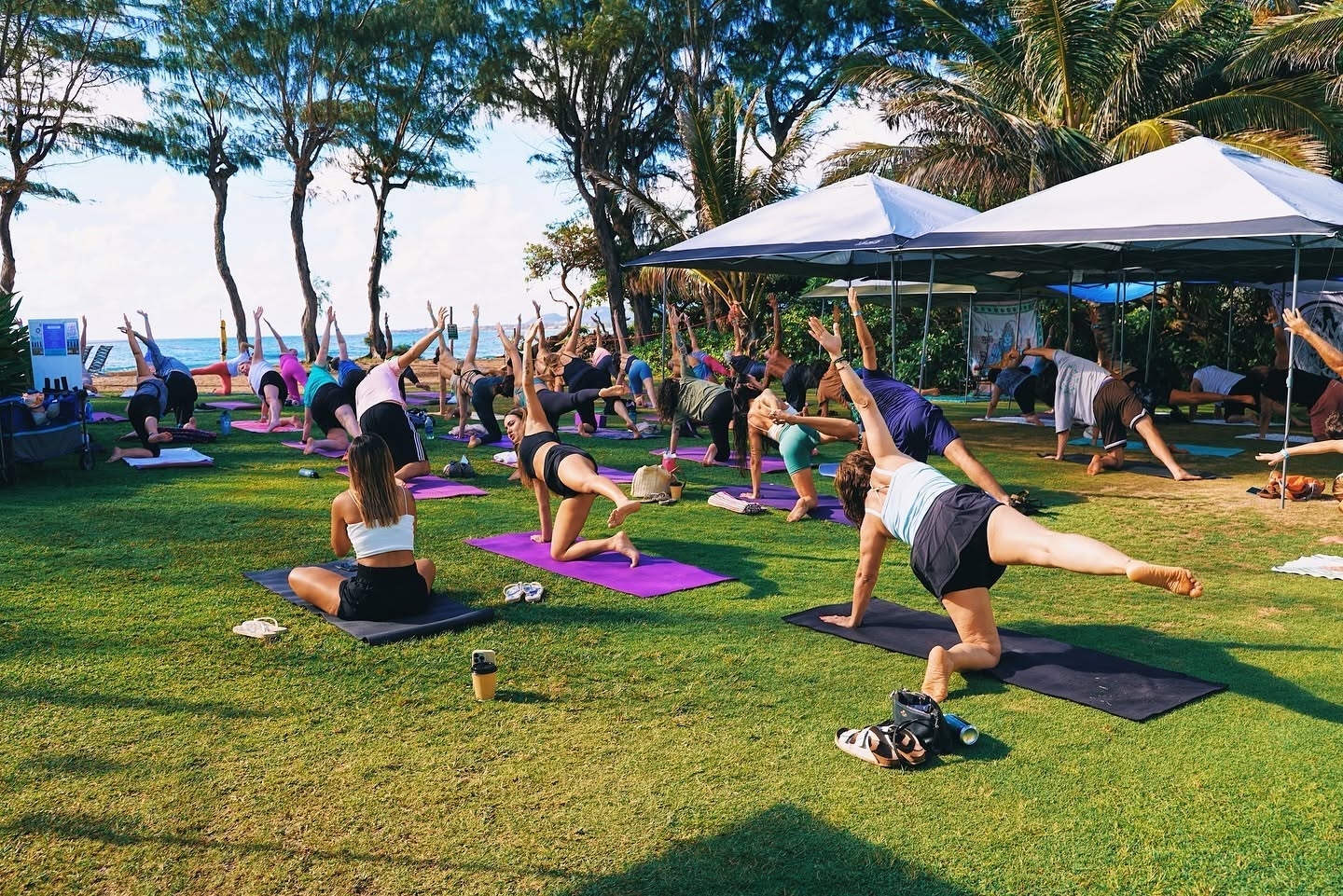 Guests practicing oceanfront yoga together on the grass beneath palm trees at the Aloha Kauai Yoga & Peace Festival