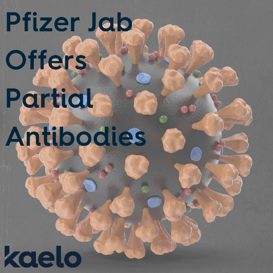 Pfizer Jab Partial Antibodies