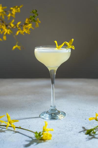 Cocktail Image