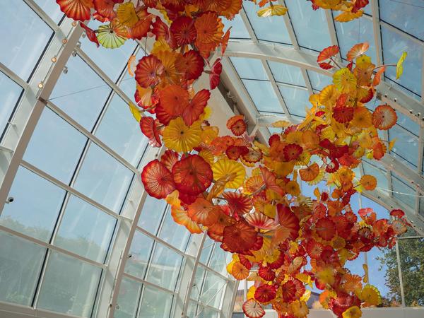 Chihuly Garden and Glass Picture